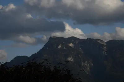 DSC_6050 (Large).JPG